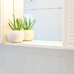 Palm Garden House - *
