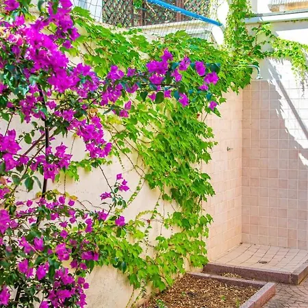 Palm Garden House, Free Parking Apartment
